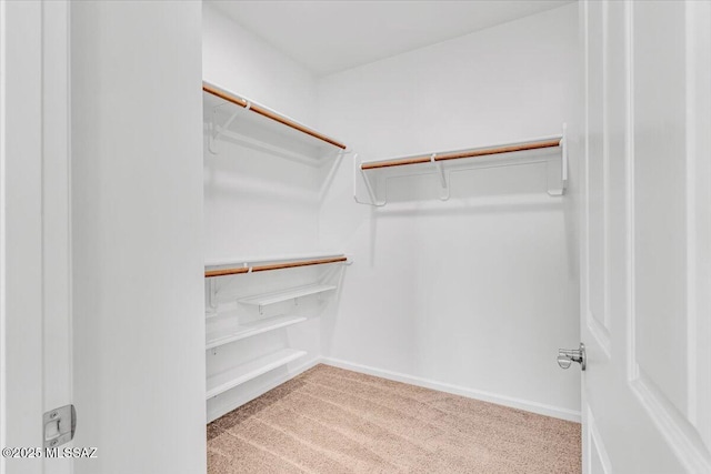 spacious closet featuring light carpet