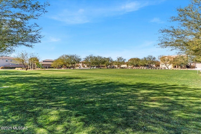 view of community with a lawn