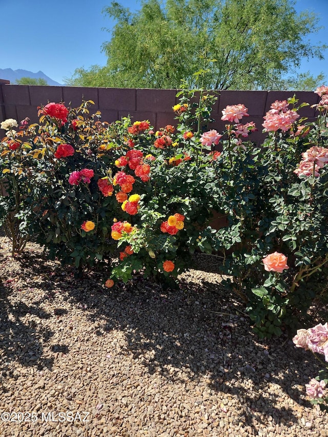 view of yard with fence