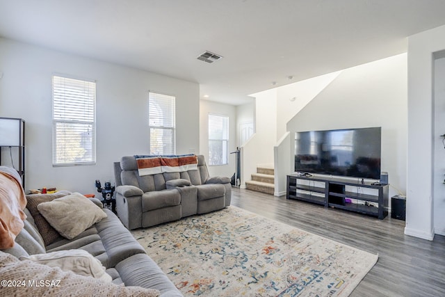 living room featuring wood-type flooring