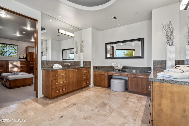 bathroom featuring vanity and a wealth of natural light