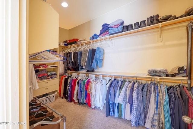 spacious closet featuring carpet