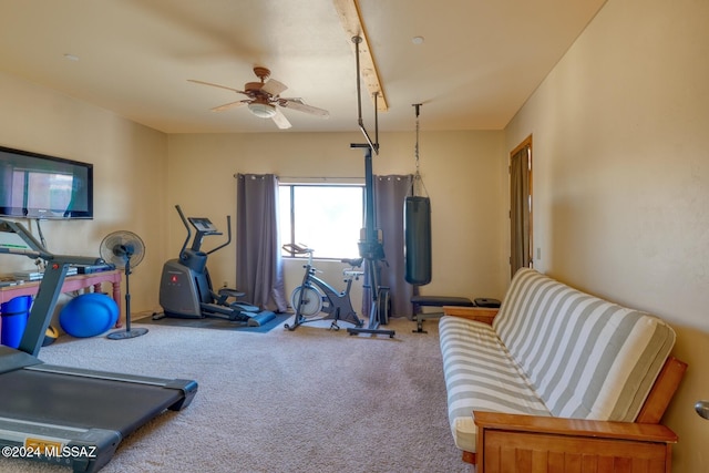 exercise area featuring carpet flooring and ceiling fan