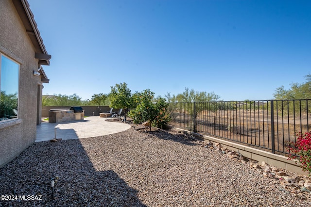 view of yard featuring a patio and exterior kitchen