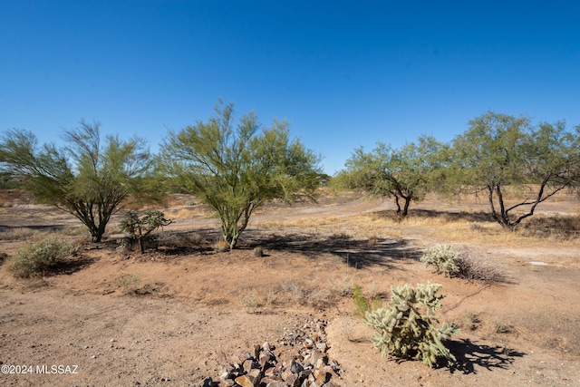 view of landscape featuring a rural view