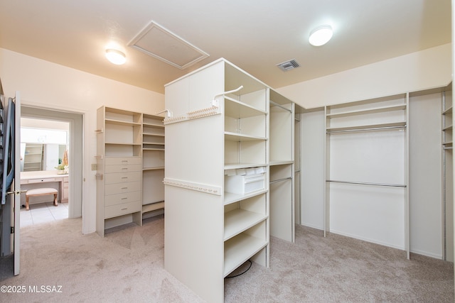 walk in closet with attic access, visible vents, and light colored carpet