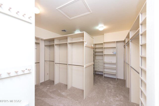 walk in closet with attic access, visible vents, and light colored carpet