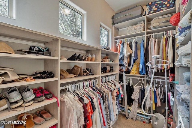 walk in closet featuring carpet floors