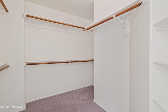 spacious closet with light colored carpet