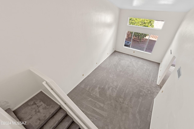 living room featuring carpet flooring