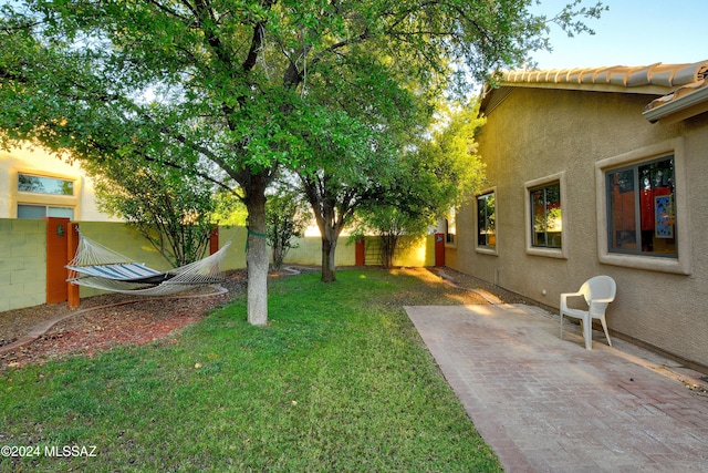 view of yard featuring a patio area