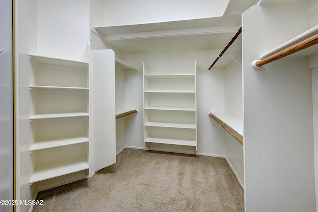 walk in closet with light colored carpet