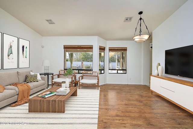 living room featuring dark wood-type flooring