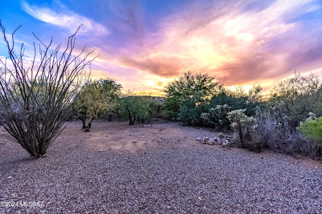 view of nature at dusk