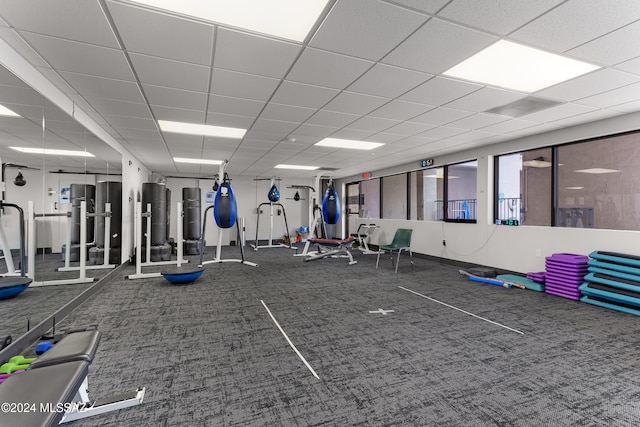 exercise room featuring carpet and a paneled ceiling