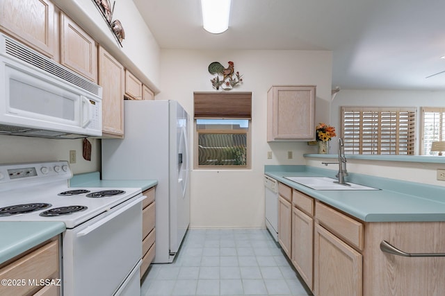 kitchen featuring light brown cabinetry, white appliances, and sink