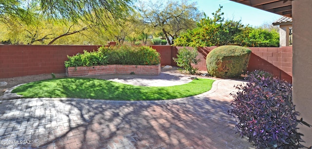 view of yard featuring a patio area