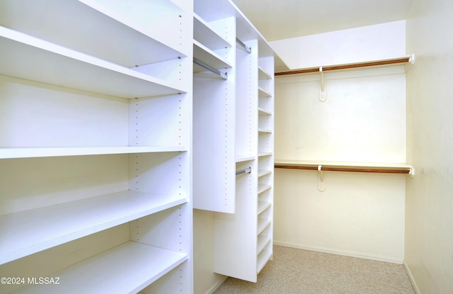 walk in closet featuring light colored carpet