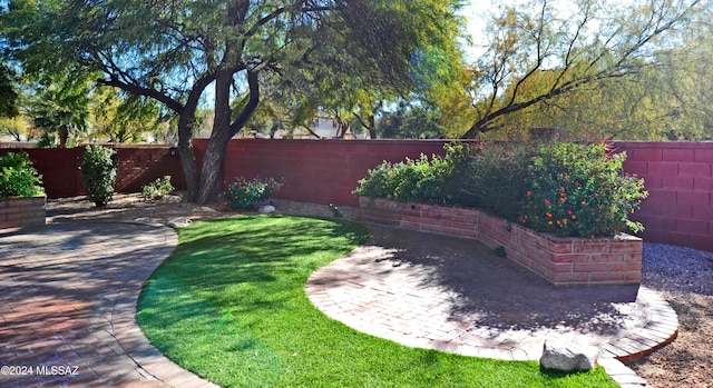 view of yard with a patio