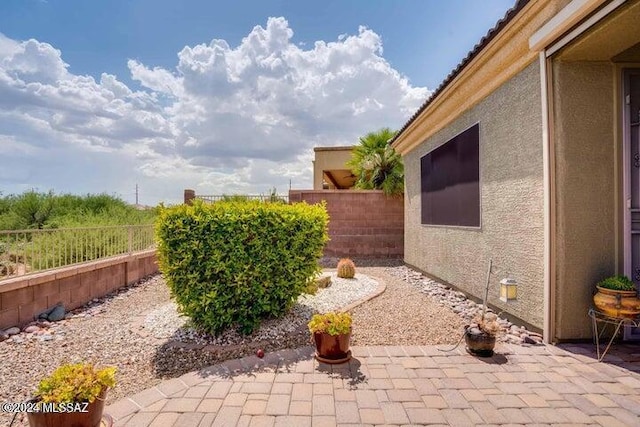 view of yard featuring a patio area