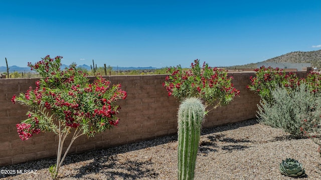 view of yard featuring a fenced backyard and a mountain view