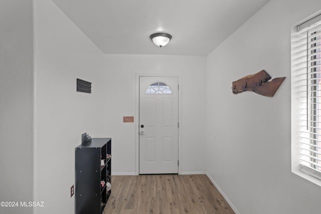 entrance foyer featuring light hardwood / wood-style flooring