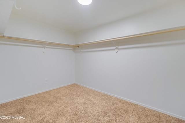 walk in closet featuring carpet