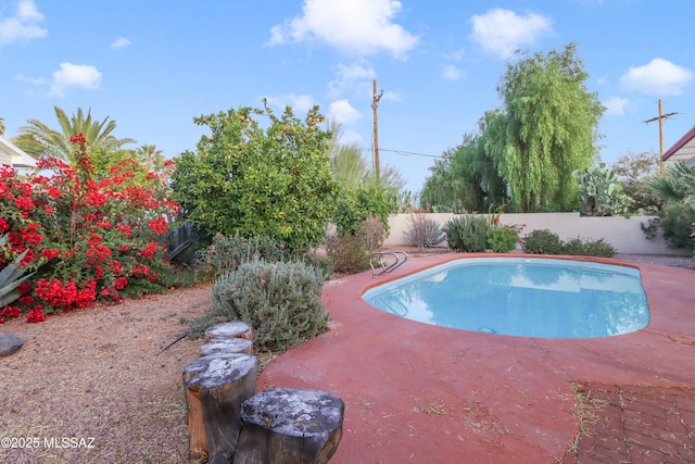 view of swimming pool featuring a patio