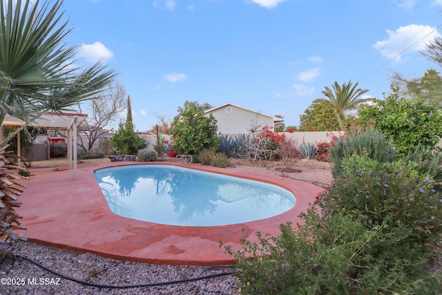 view of pool with a patio