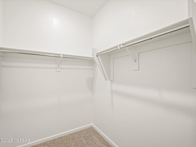 walk in closet featuring carpet