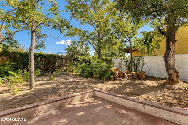 view of yard featuring a fenced backyard and a patio