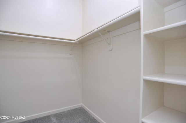 walk in closet featuring carpet flooring