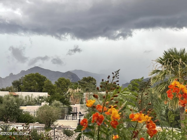 view of mountain feature