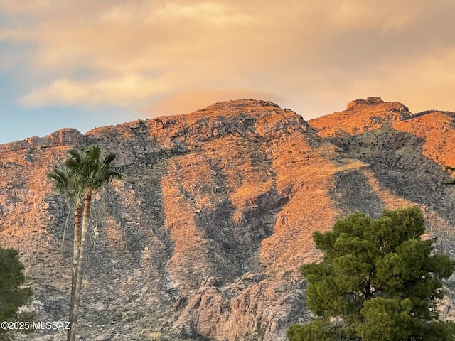 view of mountain feature