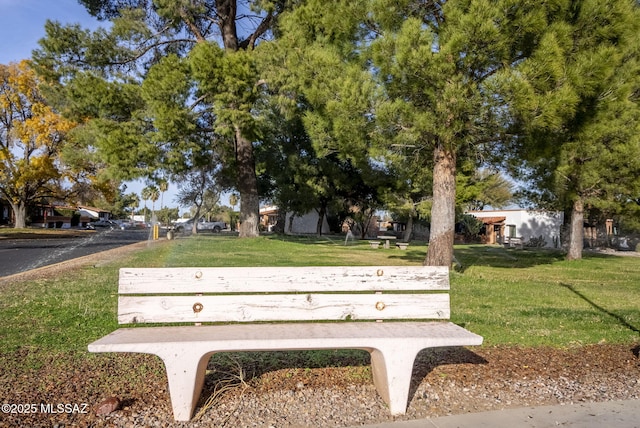 view of property's community with a yard