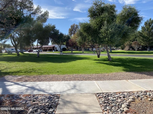 view of community featuring a yard