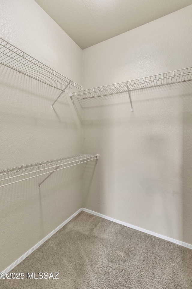 spacious closet with carpet flooring