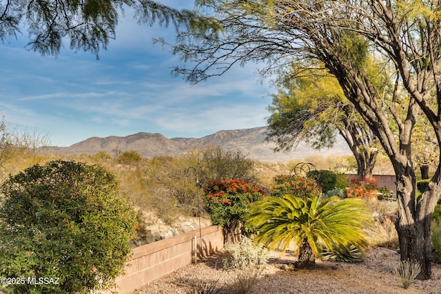 property view of mountains