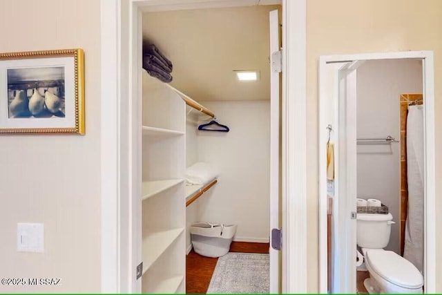 bathroom with toilet and wood-type flooring