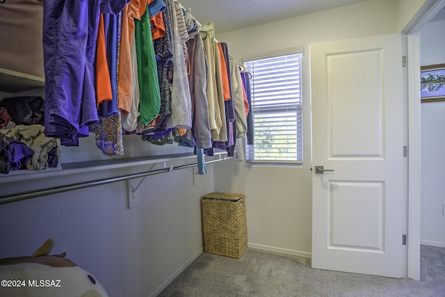 walk in closet featuring carpet floors