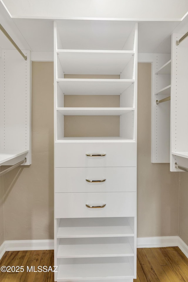 spacious closet with wood-type flooring