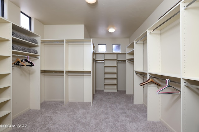 walk in closet featuring carpet floors