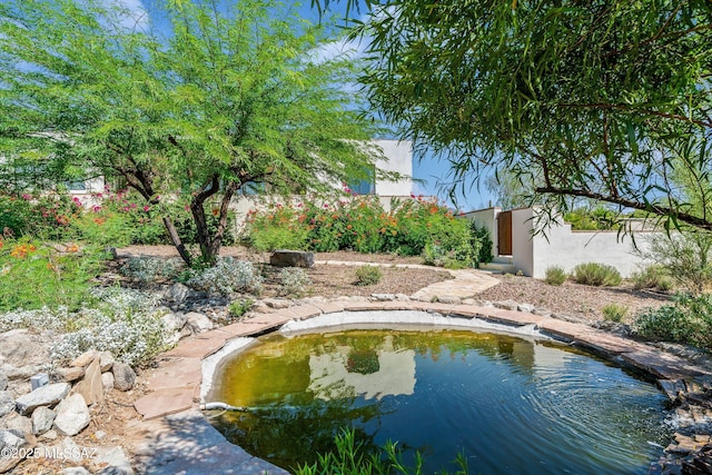 view of pool featuring a small pond