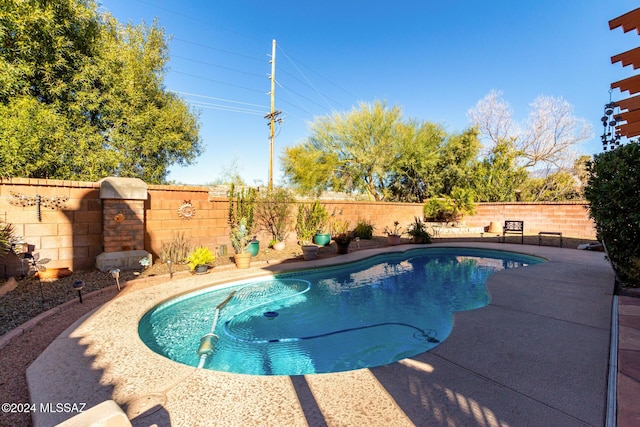 view of swimming pool featuring a patio