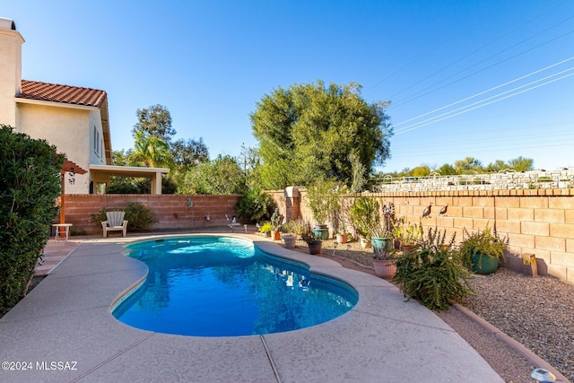 view of pool with a patio area