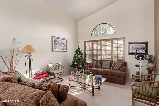 carpeted living room with high vaulted ceiling