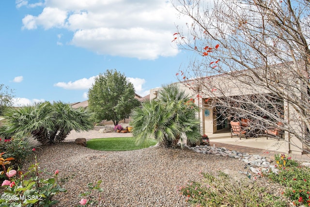 view of yard with a patio