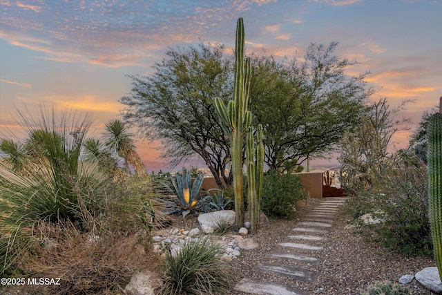 view of yard at dusk