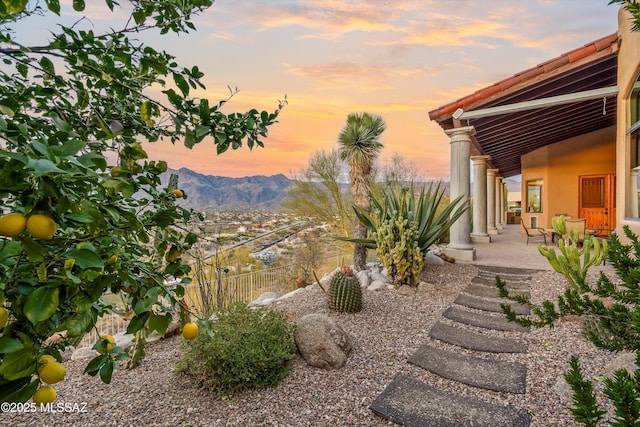 yard at dusk with a patio area and a mountain view