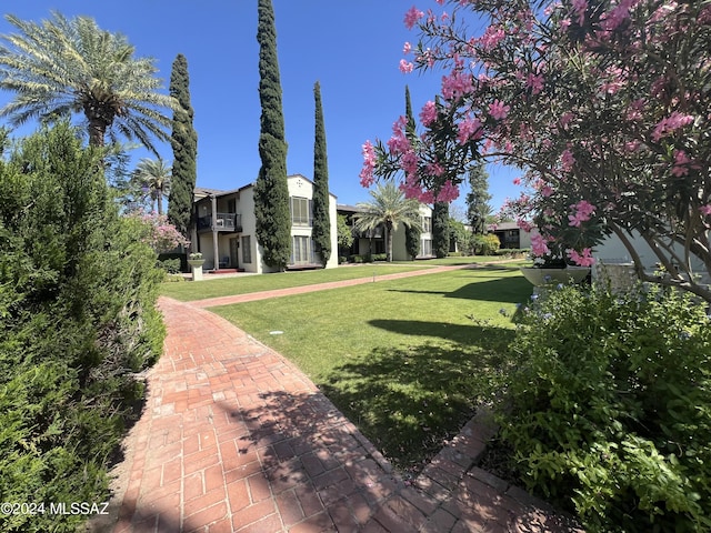 view of yard with a balcony